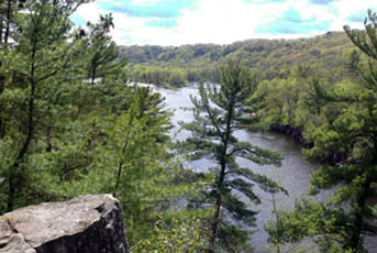 nature